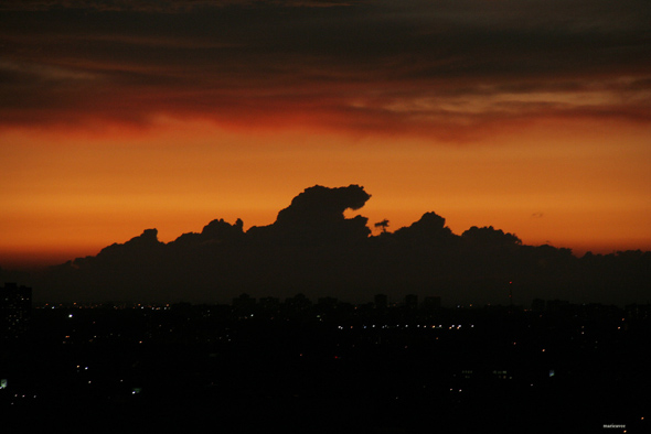 20090820-sunset bumblevee.jpg