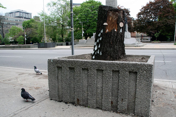 2011523-street-planter-stump.jpg