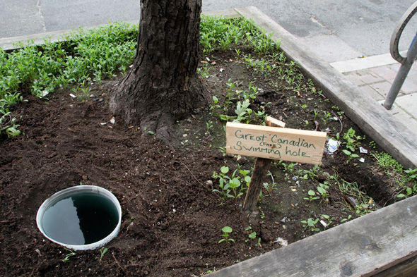 2011523-street-planter-water-hole.jpg
